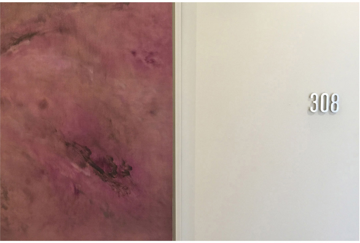 北京薇琳醫(yī)美整形醫(yī)院標識標牌設計方案